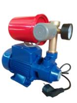 Hidrofor Optim PK60/2